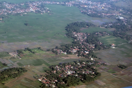 Towns and rice from air
