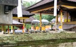 Yellow draped shrines