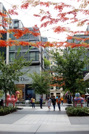 Fall vines and colorful camels