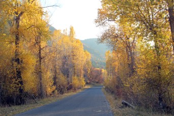 Hobble Creek golden trees-2017