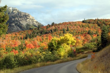 Road to Squaw Peak-fall 2017