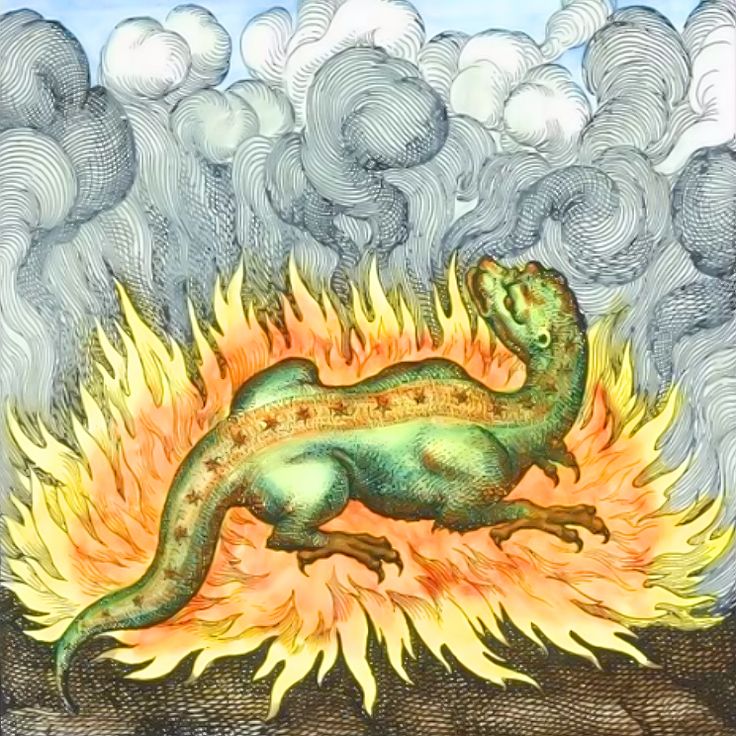 Fire salamander emblem