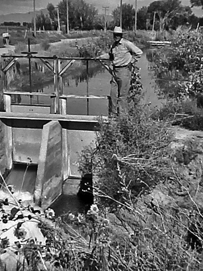 Grandpa Black with headgates